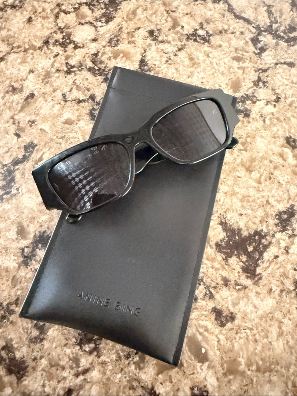 ANINE BING Bowery Sunglasses